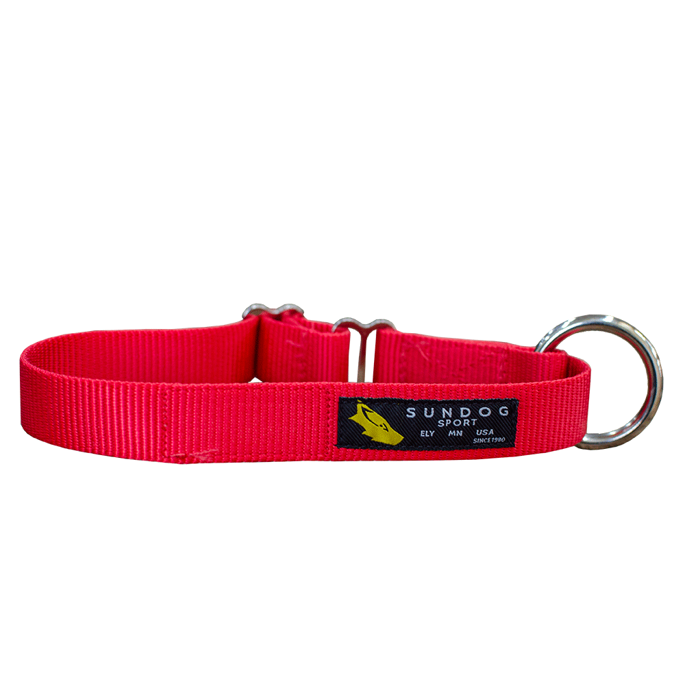 Dog full outlet belt